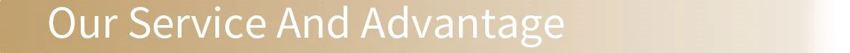 SeparatorTitle_Our Service And Advantage